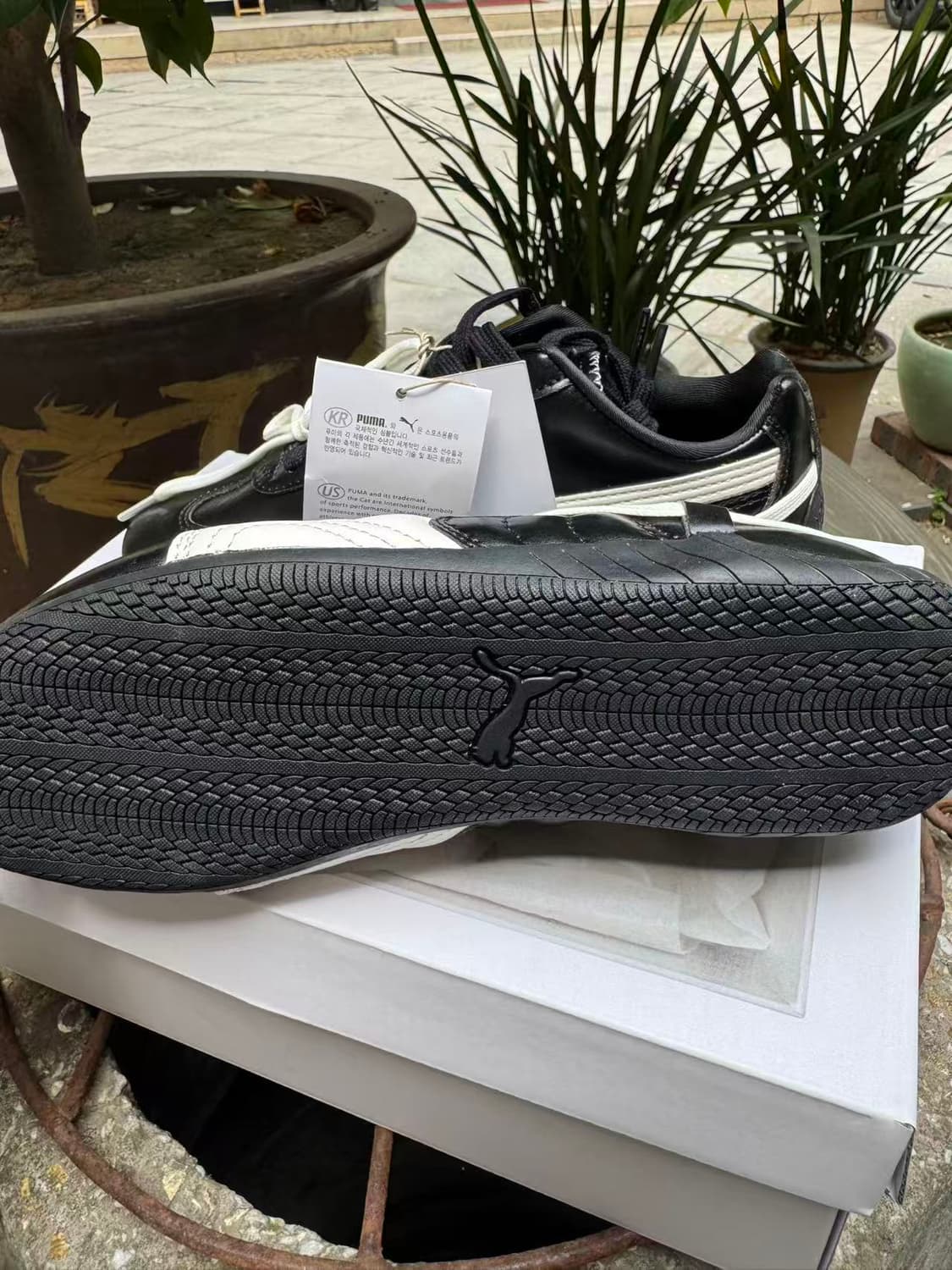 푸마 x 로제 스피드캣 PRM 블랙 웜 화이트 250MM 상품이미지3