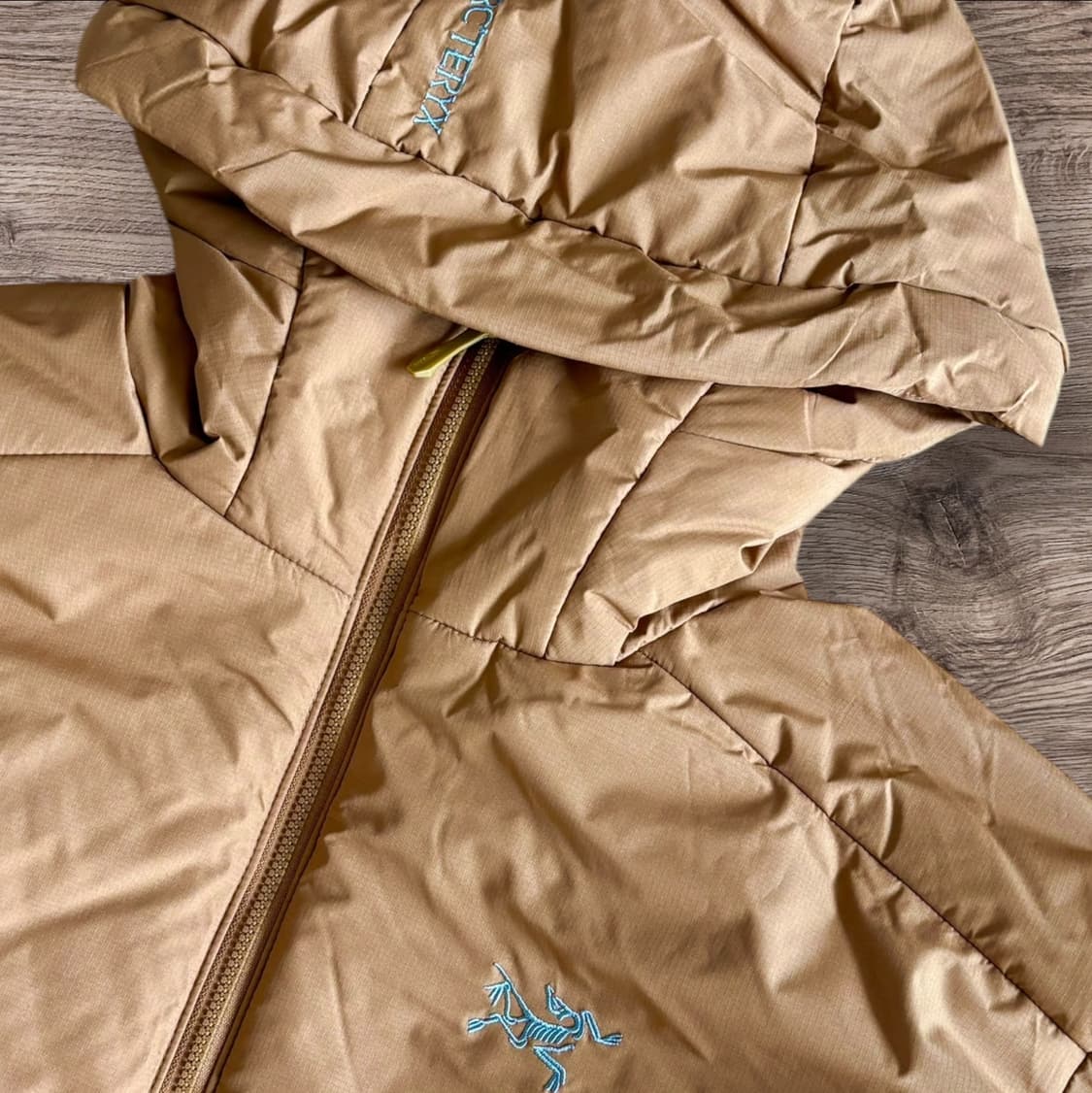 Arc'teryx Atom Heavyweight Hoodie 상품이미지3