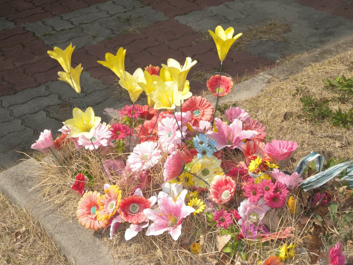 작례 O) 니콘 쿨픽스 p6000 빈티지 디카 상품이미지9