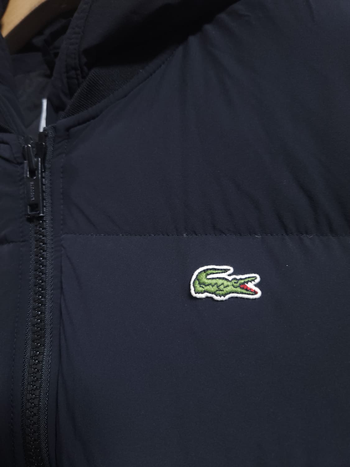 라코스테 오리털 봄버패딩, L 상품이미지2