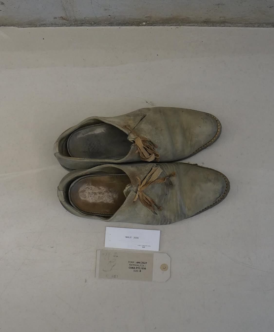 [285] carol christian poell ccp 더비 상품이미지3