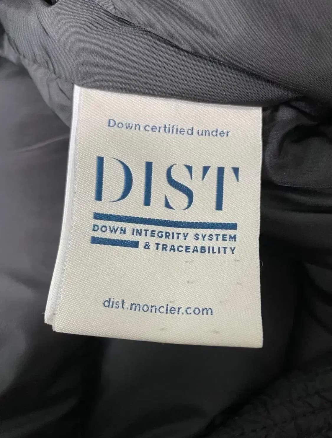 몽클레어 클루니 패딩 2사이즈 상품이미지5