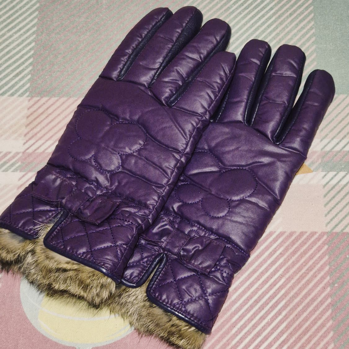 04s 안나수이 퍼플 나비 패디드 레더 장갑 상품이미지6
