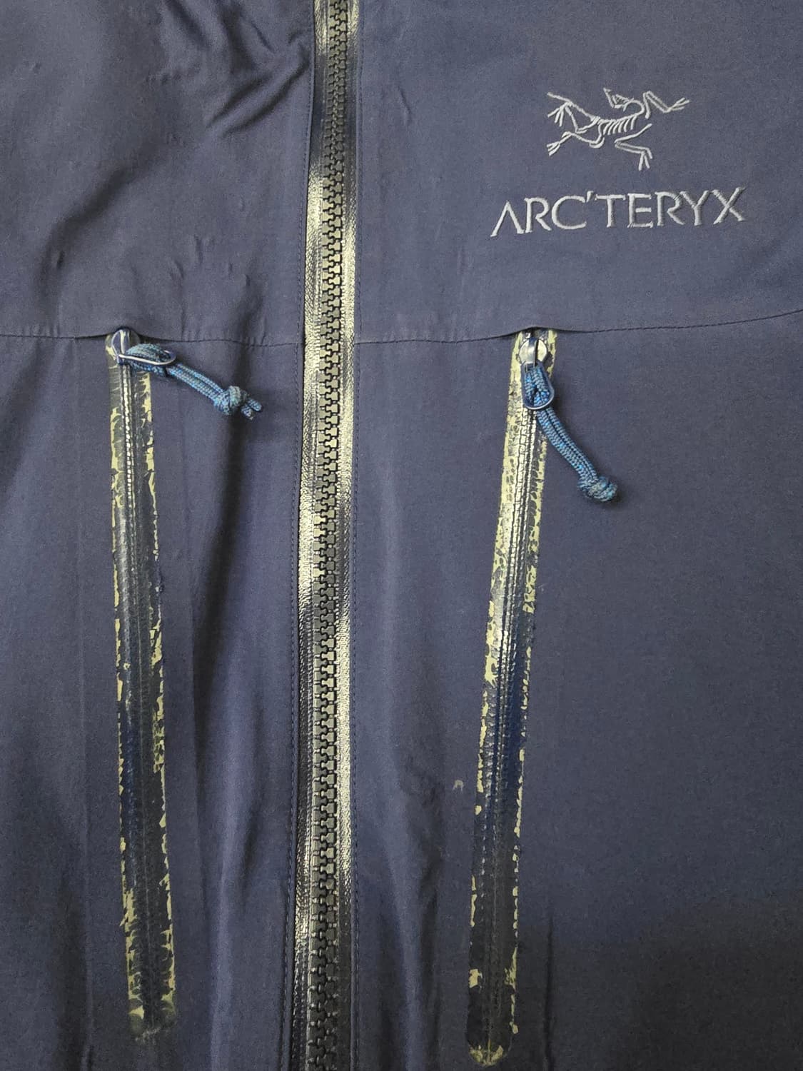 아크테릭스 피션 sv L 상품이미지2