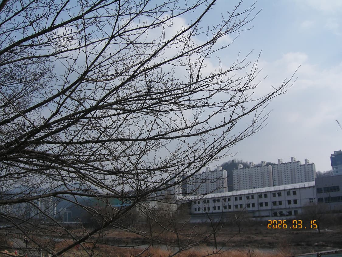 작례 O) Kyocera finecam sl300r 교세라 빈티지 디카 상품이미지7