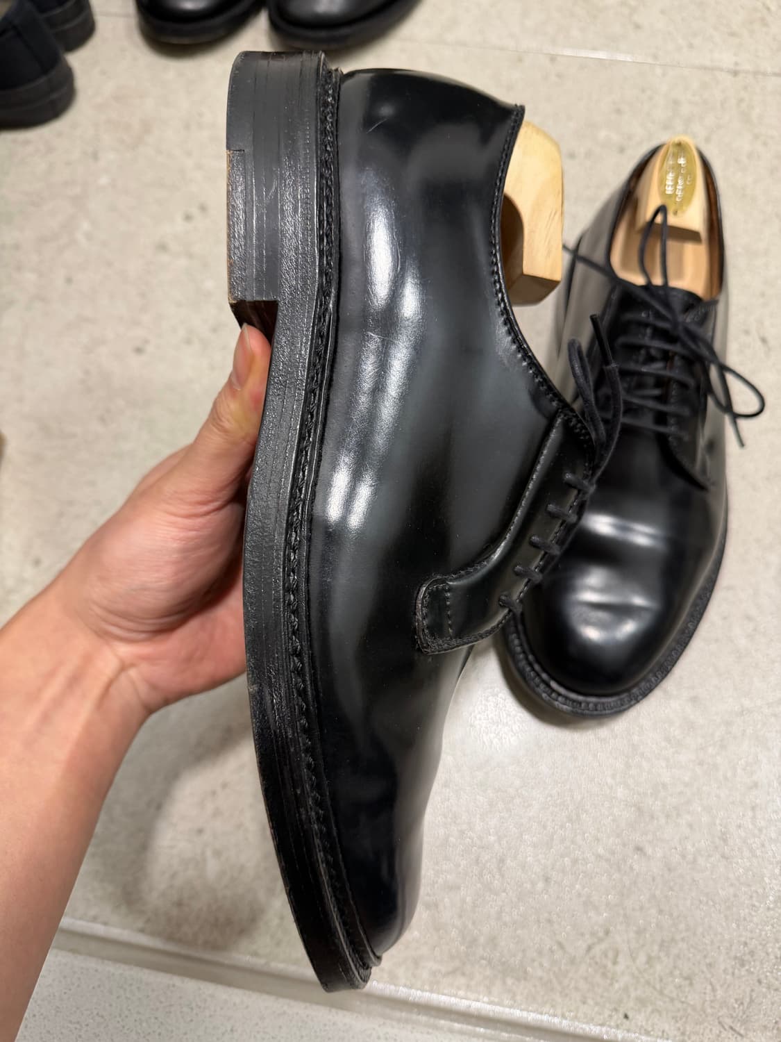 [8E, 260]알든 9901 상품이미지5