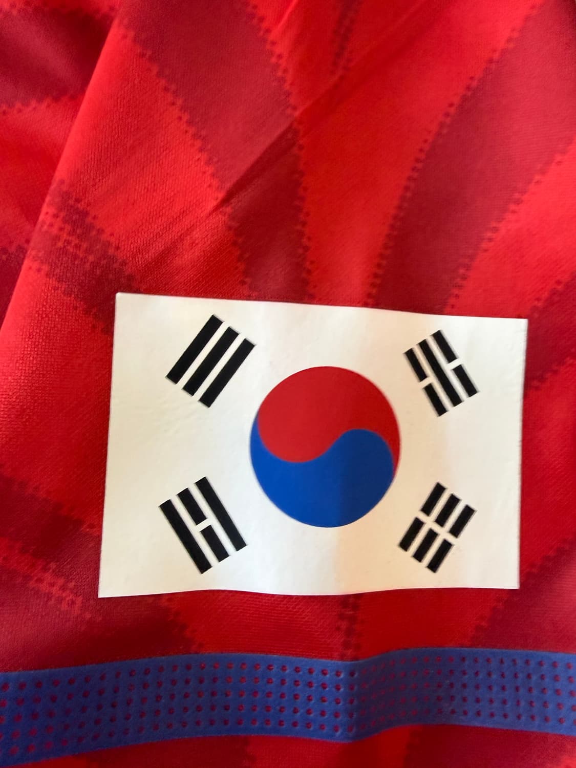 [L/100]2010 대한민국 국대 홈 박지성 유니폼378601-611 상품이미지5