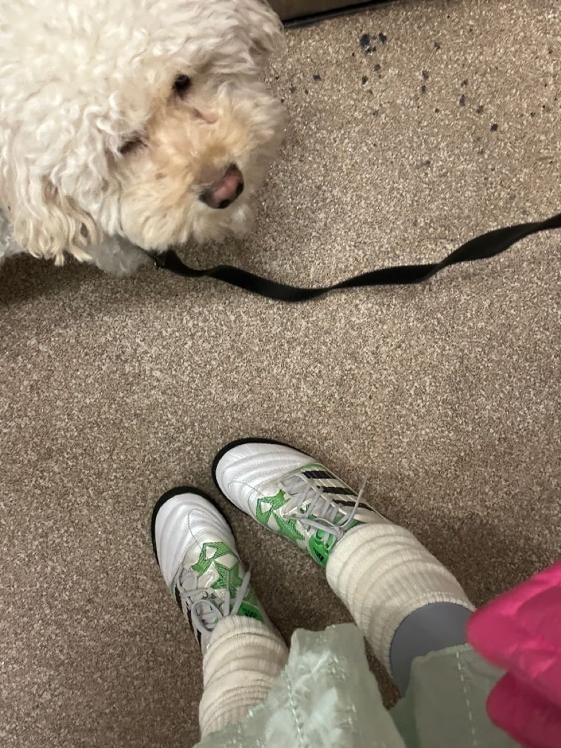 Adidas Predator X(2010) 상품이미지3