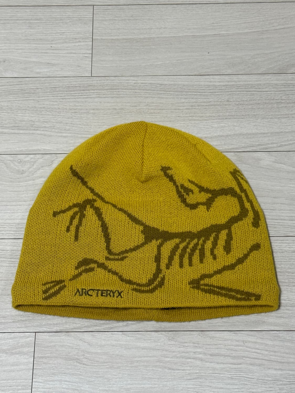 아크테릭스 버드헤드 토크 비니 상품이미지1