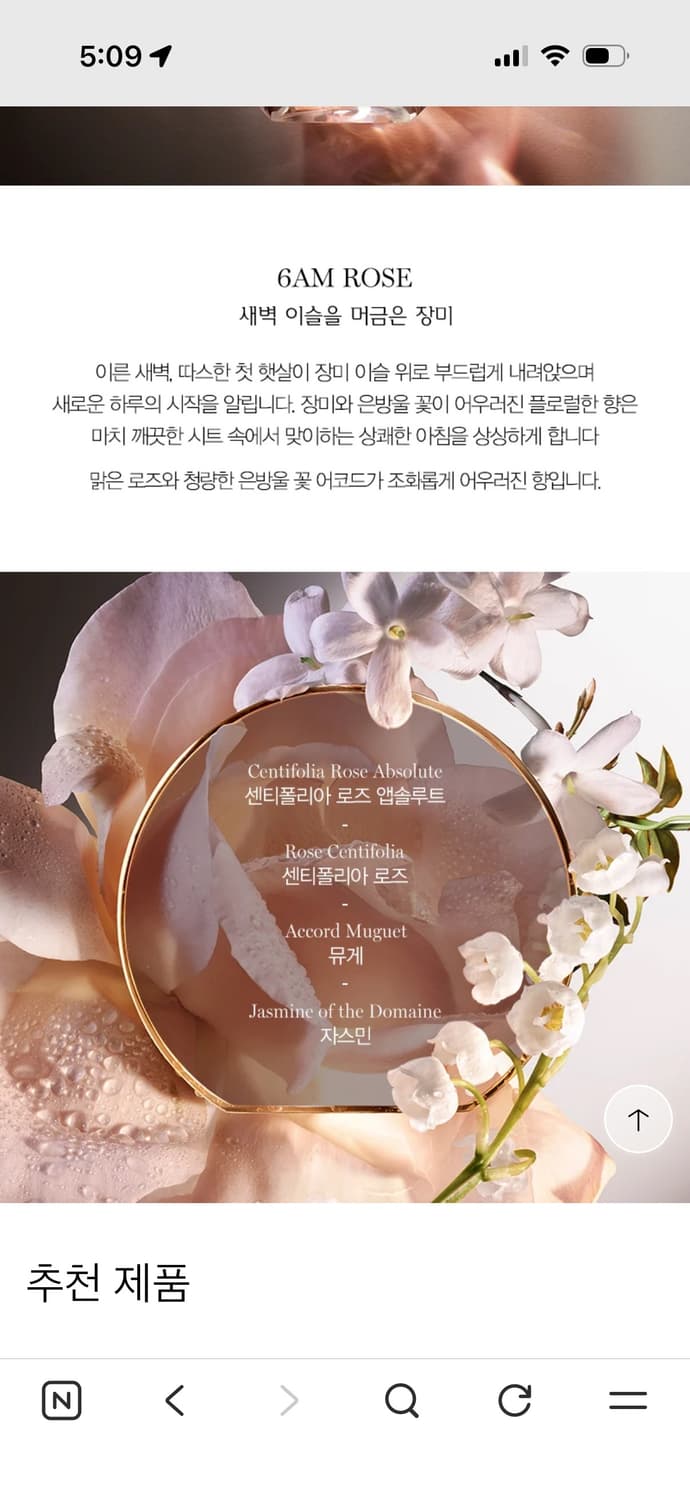 랑콤 압솔뤼 6am로즈 향수 100ml 상품이미지9
