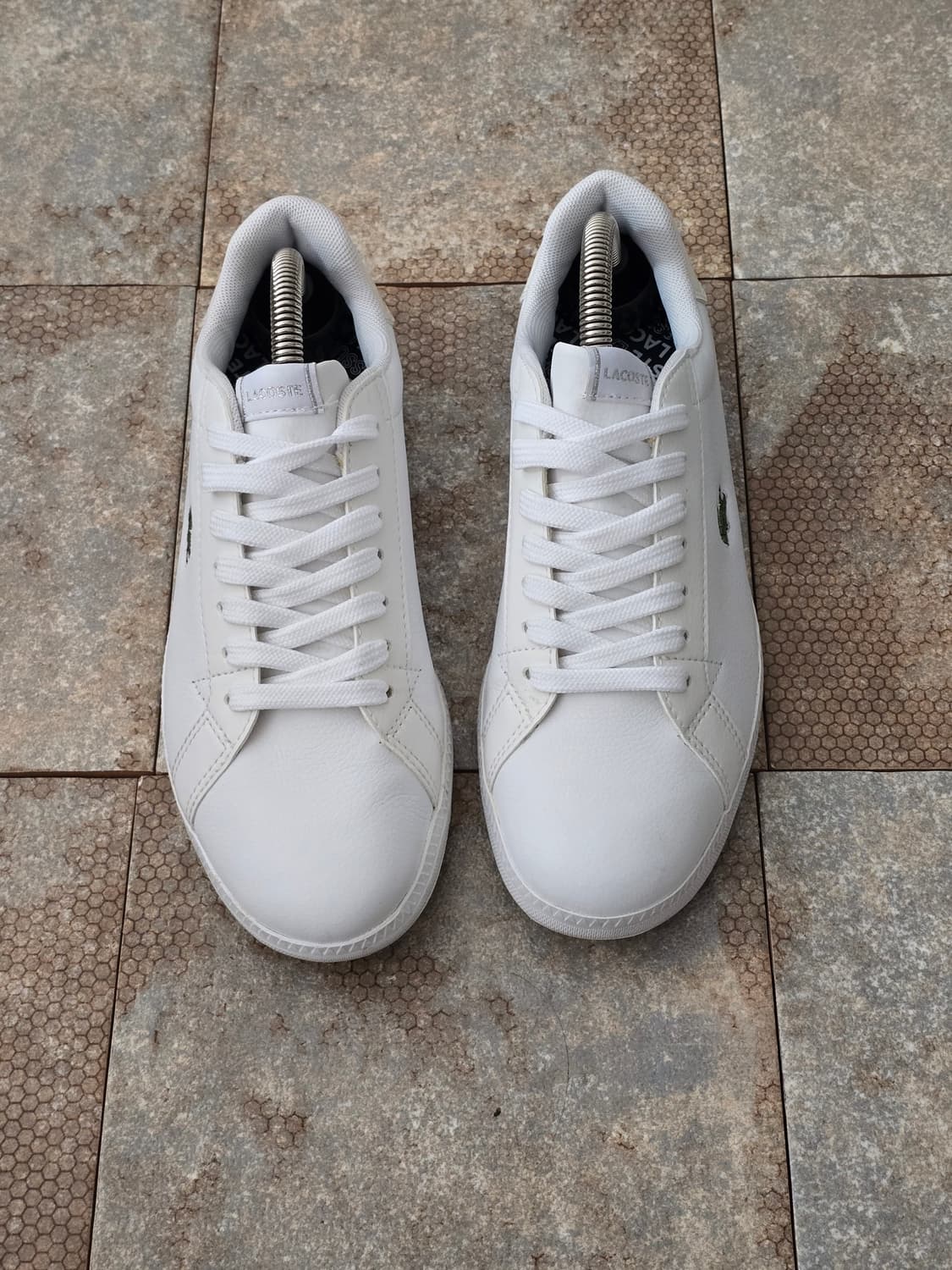 (230)라코스테 그레쥬에이트 상품이미지2