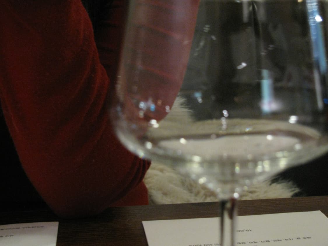 Canon PowerShot SX110 IS 상품이미지5