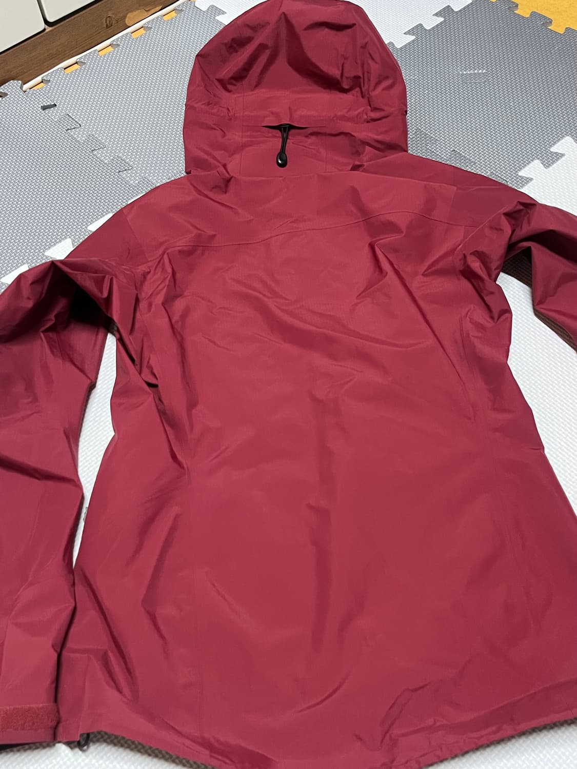 아크테릭스 제타 SL [우먼 xs] 상품이미지4