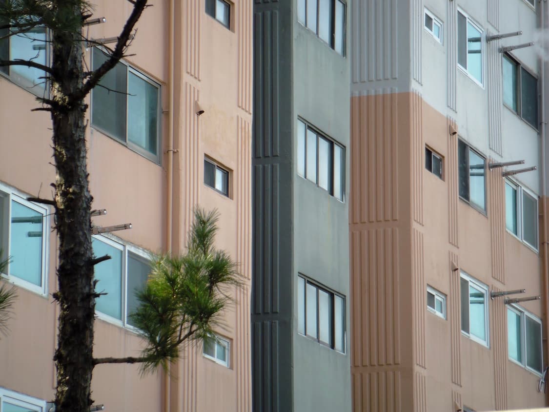 후지필름 파인픽스 Z300 화이트 작례O 상품이미지6