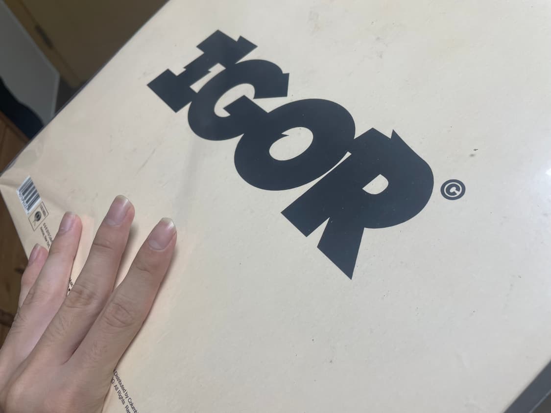 타일러 더 크리에이터 igor 한정반 크로마코피아 cd lp 상품이미지6
