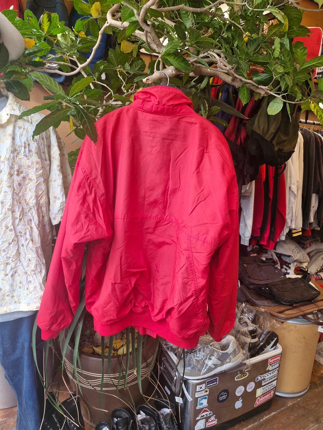 Z-268 파타고니아 쉘드 신칠라 봄버 웜업 자켓  상품이미지2