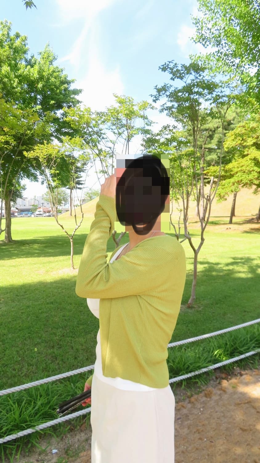 캐논 파워샷 SX 740 HS 상품이미지10