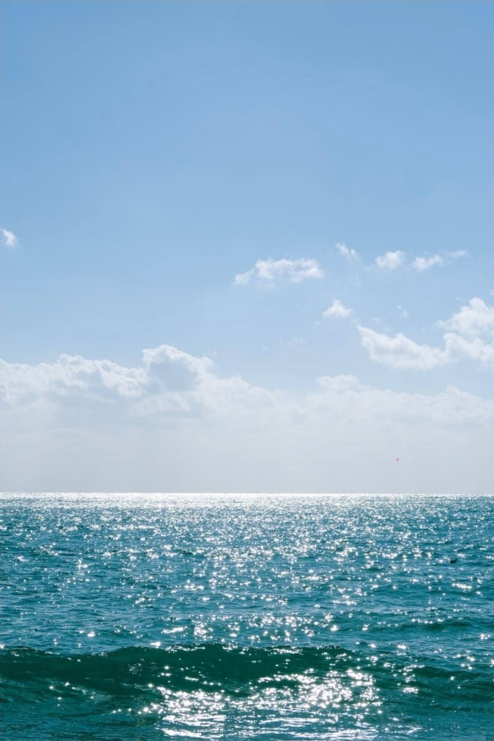 후지필름 X-E4 블랙 카메라 판매(작례 있음) 상품이미지7