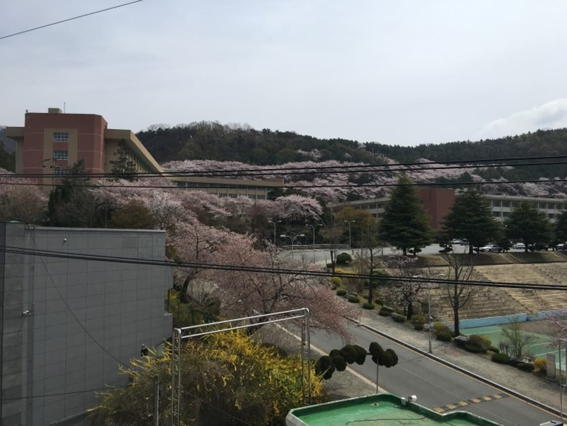 니콘 쿨픽스 p500 디카 (빈티지 카메라) 상품이미지8