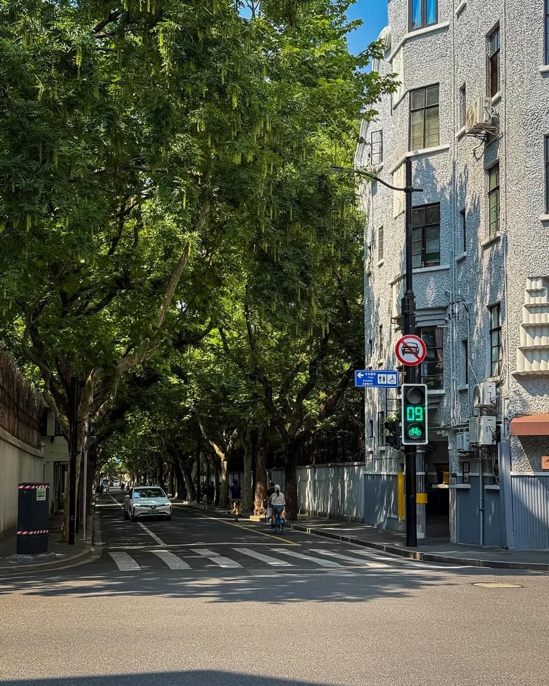 Canon PowerShot TX1 판매합니다 상품이미지6