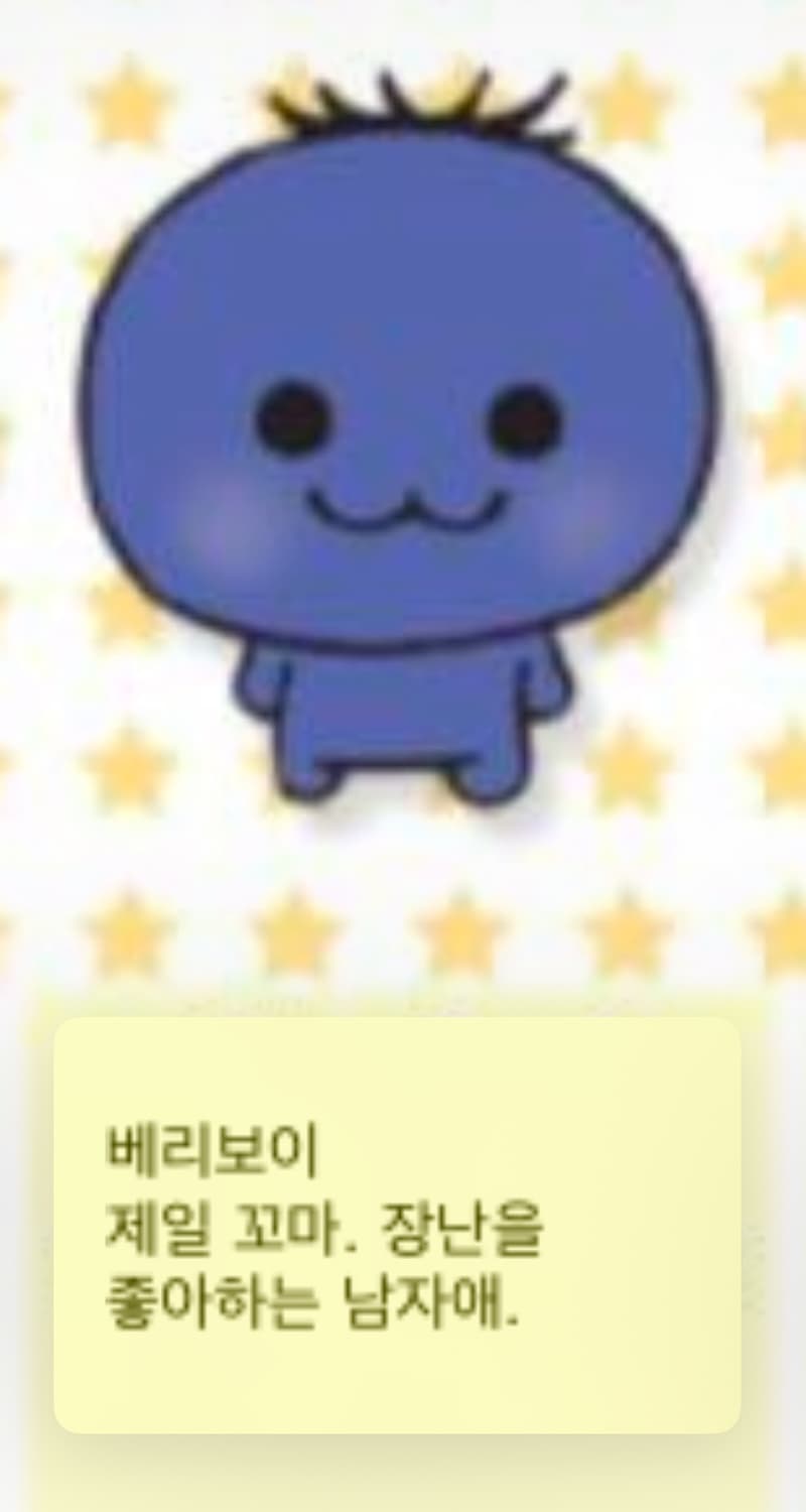 고전 산엑스 미캉보우야 베리보이 블루베리 인형 상품이미지5