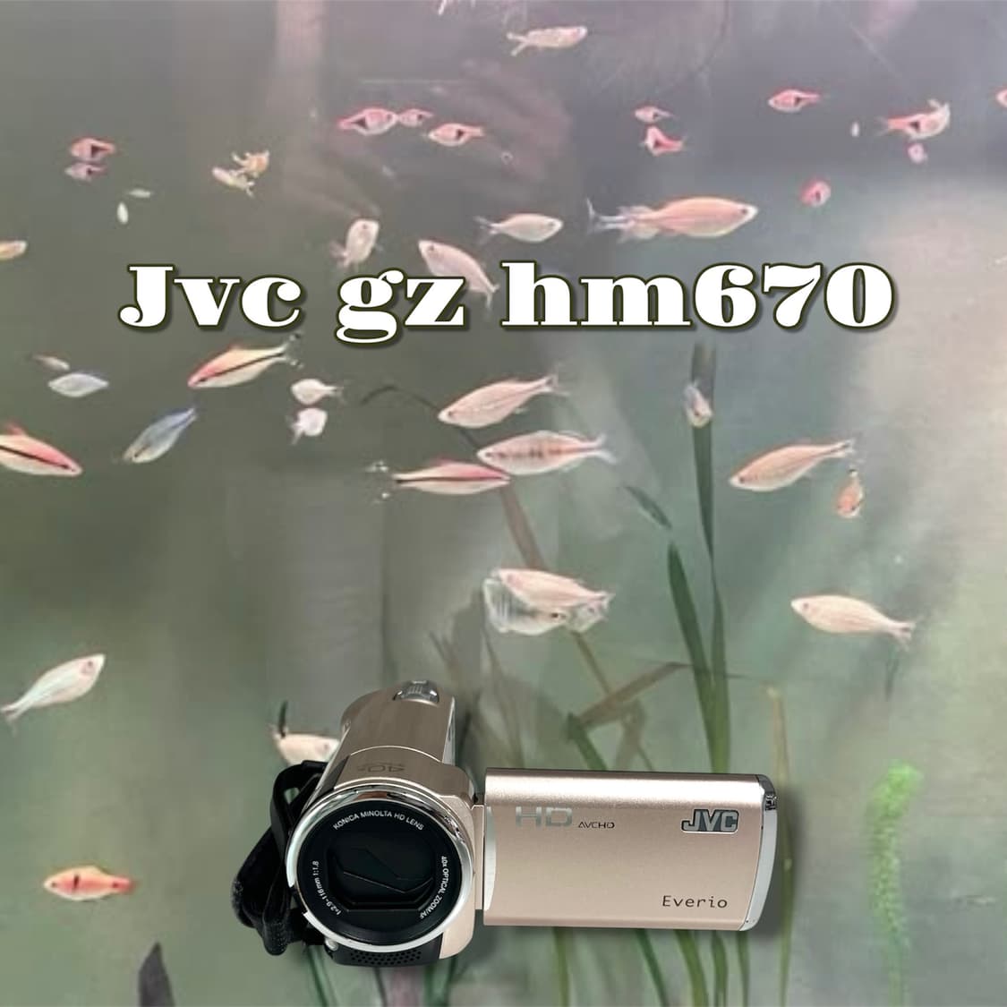 특가/인기색상/ jvc gz hm670 빈티지 캠코더 상품이미지1