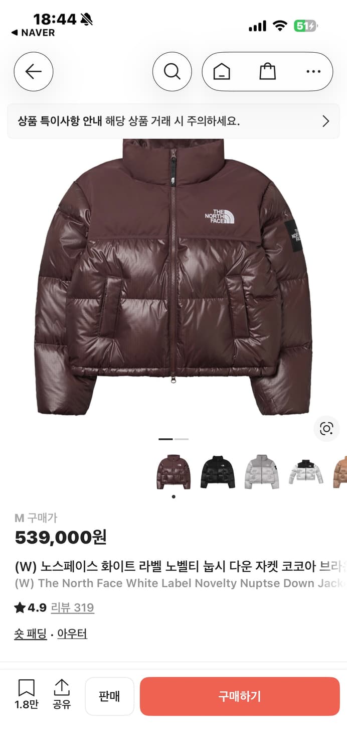 🤎켄달제너의 브라운 눕시 🤎 노스페이스 우먼 90 상품이미지4