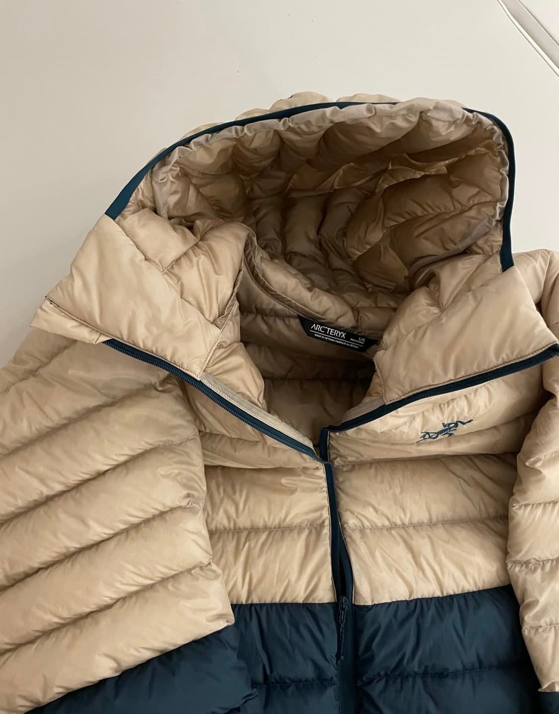 아크테릭스 세륨 정글 메이즈 L 상품이미지3