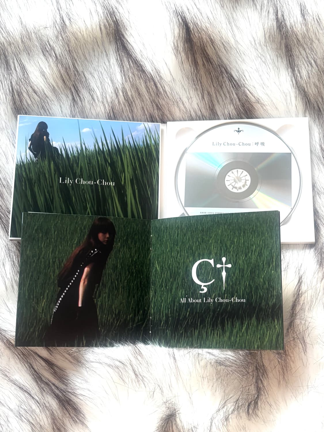 릴리슈슈의 모든것 2008 리마스터링 디지팩 CD 한정반 상품이미지5