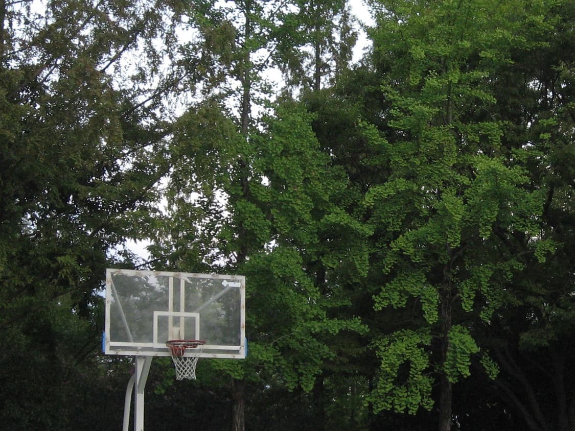 [작례 O] Canon IXY 캐논 익시 800 IS 상품이미지10