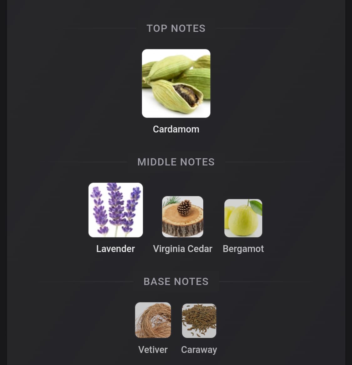 입생로랑 YSL 라 뉘 드 롬므 EDT 100ml 상품이미지3