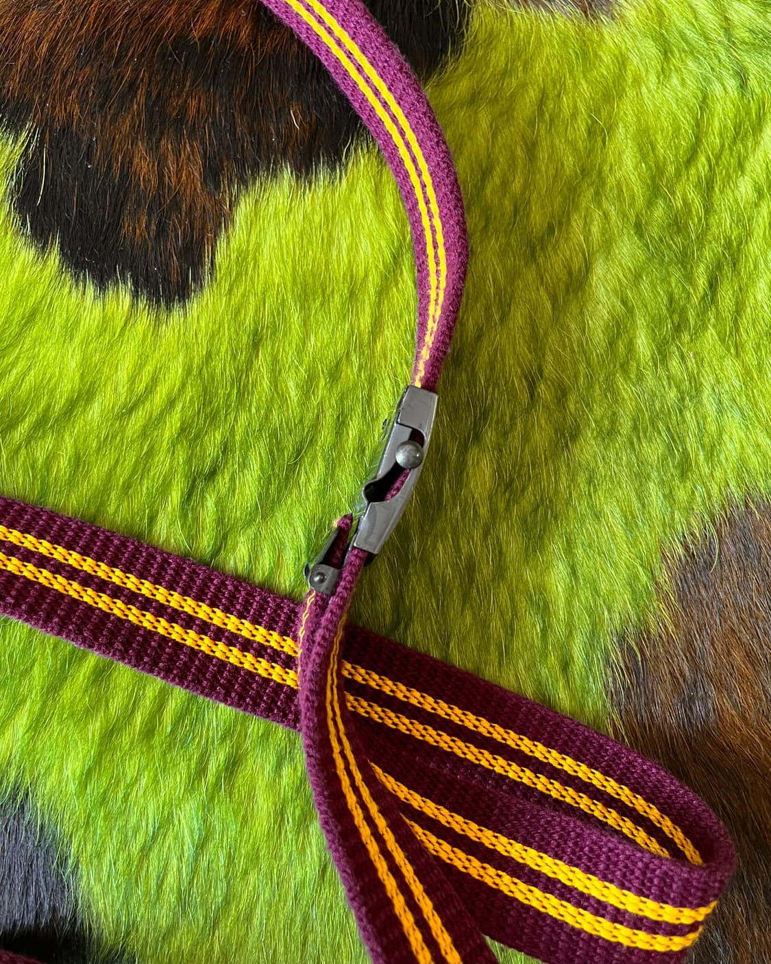 Japanese 2-Line Canvas Old Long Web Belt 상품이미지6
