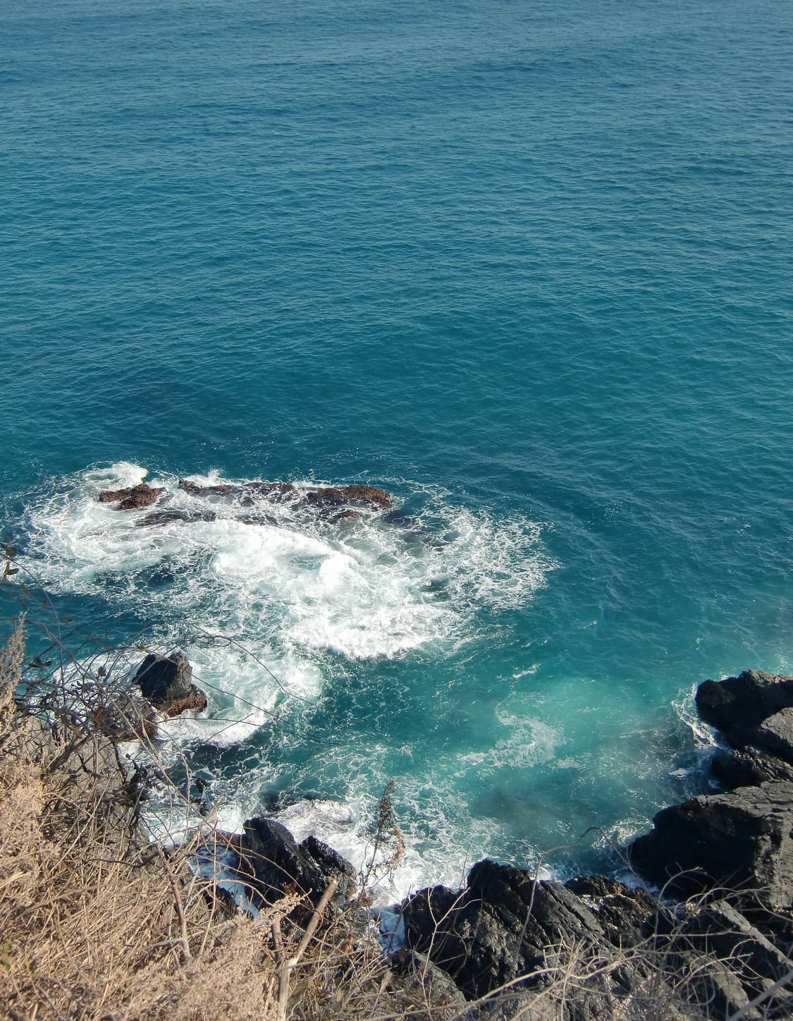 카시오 엑슬림 h-10 작례O 상품이미지9