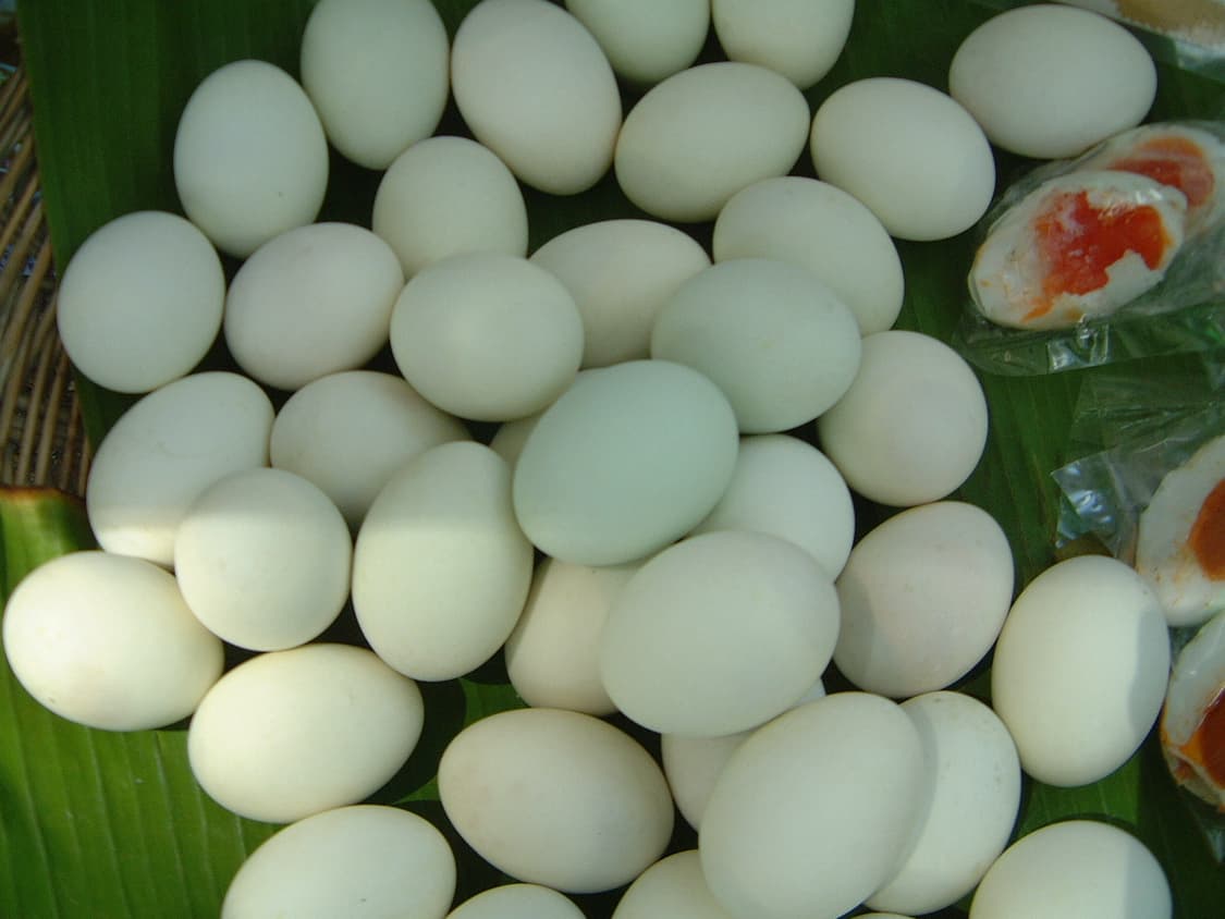 명품카메라 라이카 디지룩스 4.3 풀구성  상품이미지6