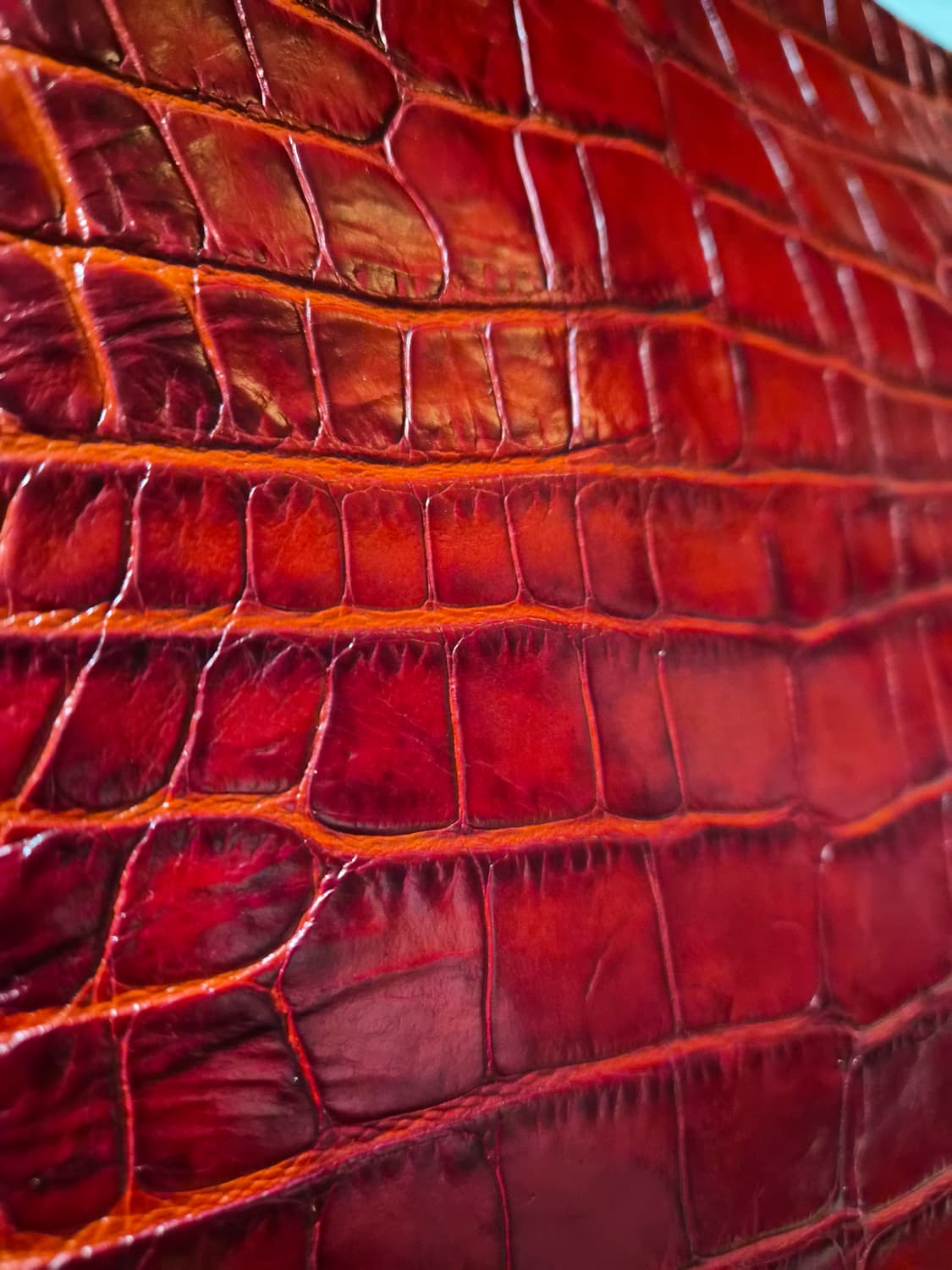 리얼 악어가죽 클러치 상품이미지3