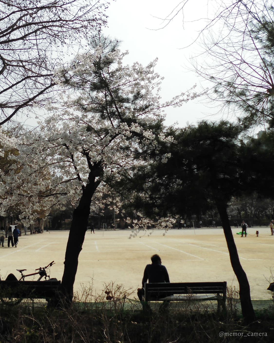 인물컷추천/소프트스킨기능✨CASIO EX-ZS35 카시오 디카 카메라 상품이미지7