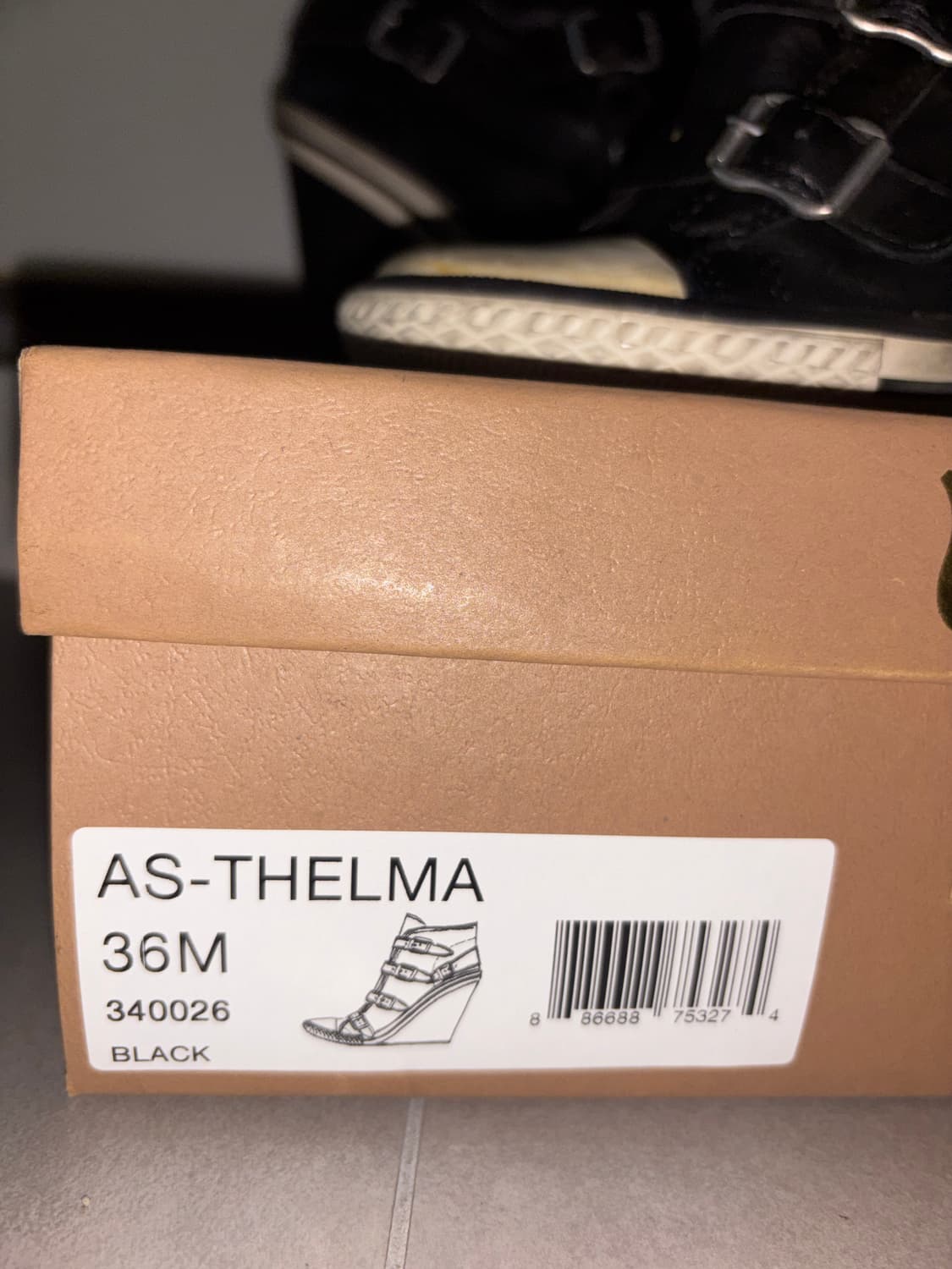 Ash AS-THELMA 상품이미지2