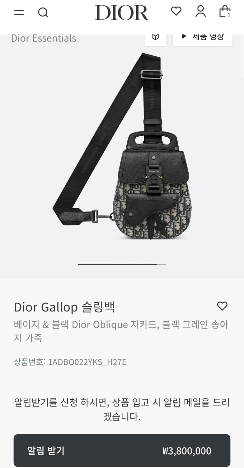 디올 오블리크 버클 새들 슬링백 토트백 신형 상품이미지4