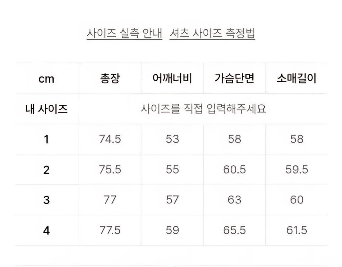 블랭크룸 필드데이 셔츠 2 상품이미지3