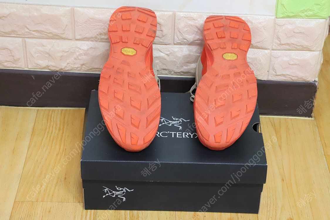 Arc'teryx Aerios FL 2 Mid GTX (아크테릭스 슈즈) 상품이미지4