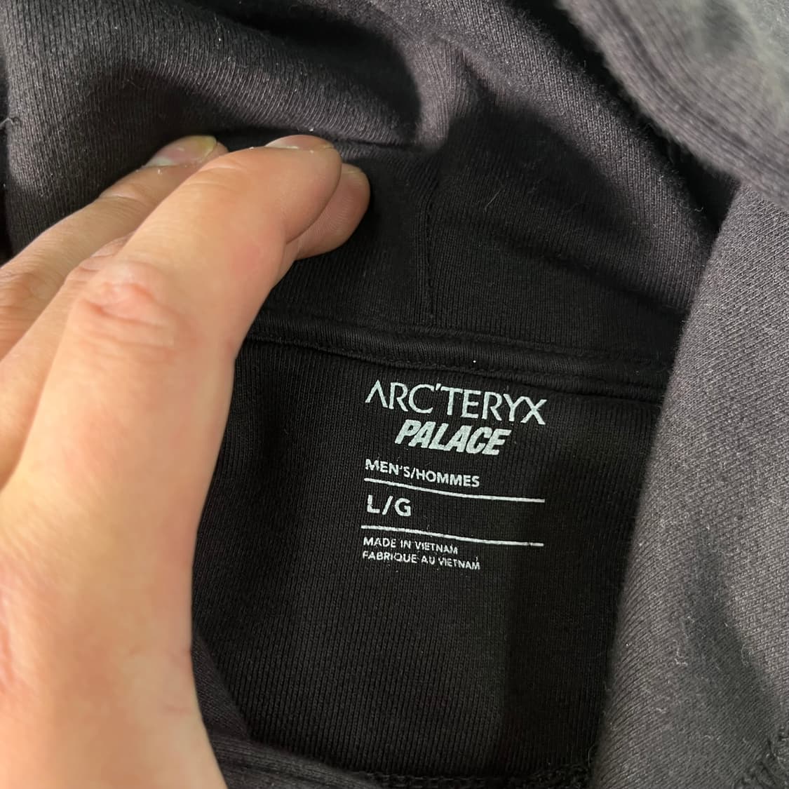 105 아크테릭스 x 팔라스 후드티 상품이미지4