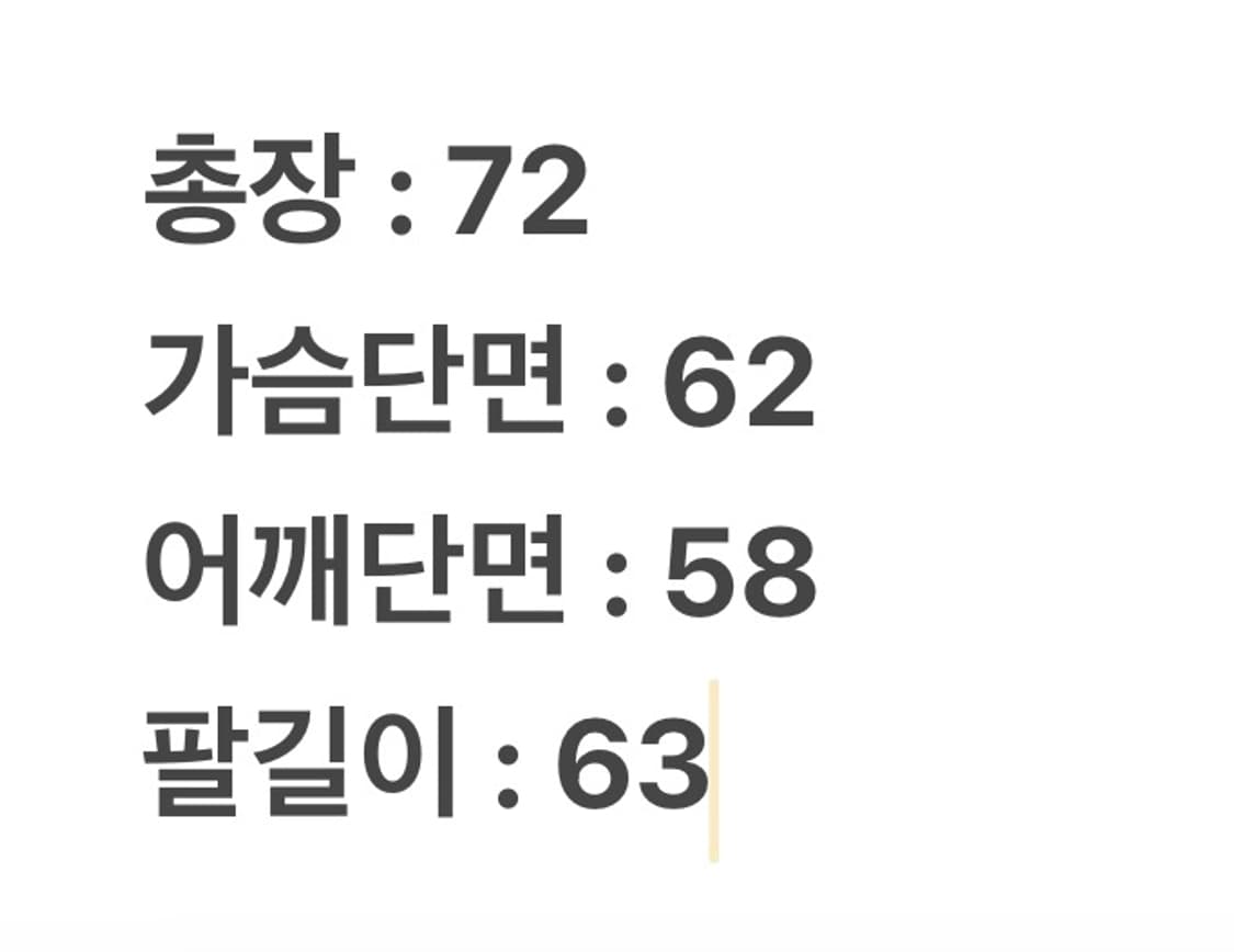 [ 정품/L ] 디젤 빅로고 맨투맨 상품이미지10