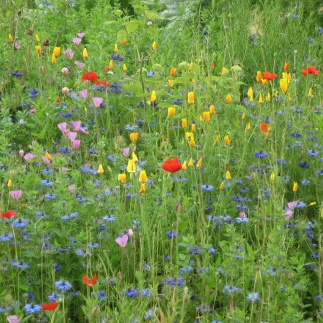 Canon Powershot A1100is 캐논 파워샷 디카 빈티지디카 상품이미지10