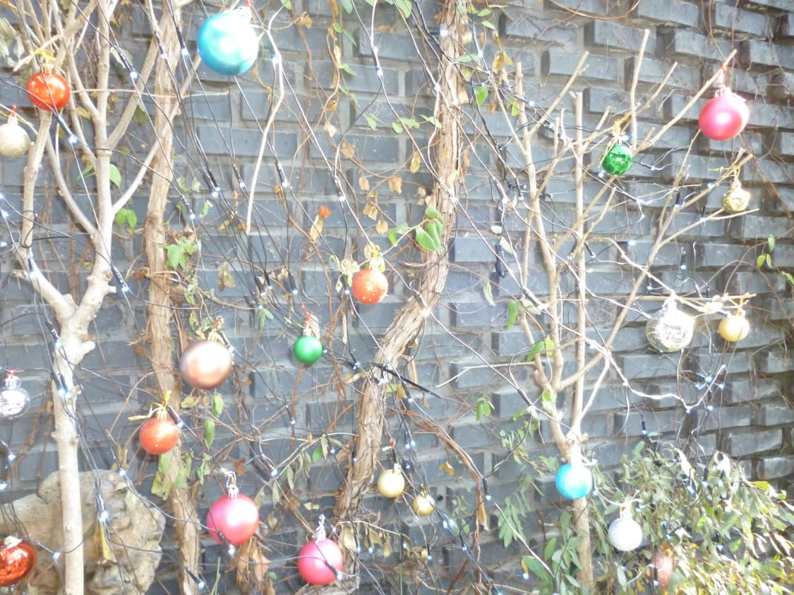 파나소닉 루믹스 Panasonic Lumix DMC-S1 블루 디카 상품이미지10