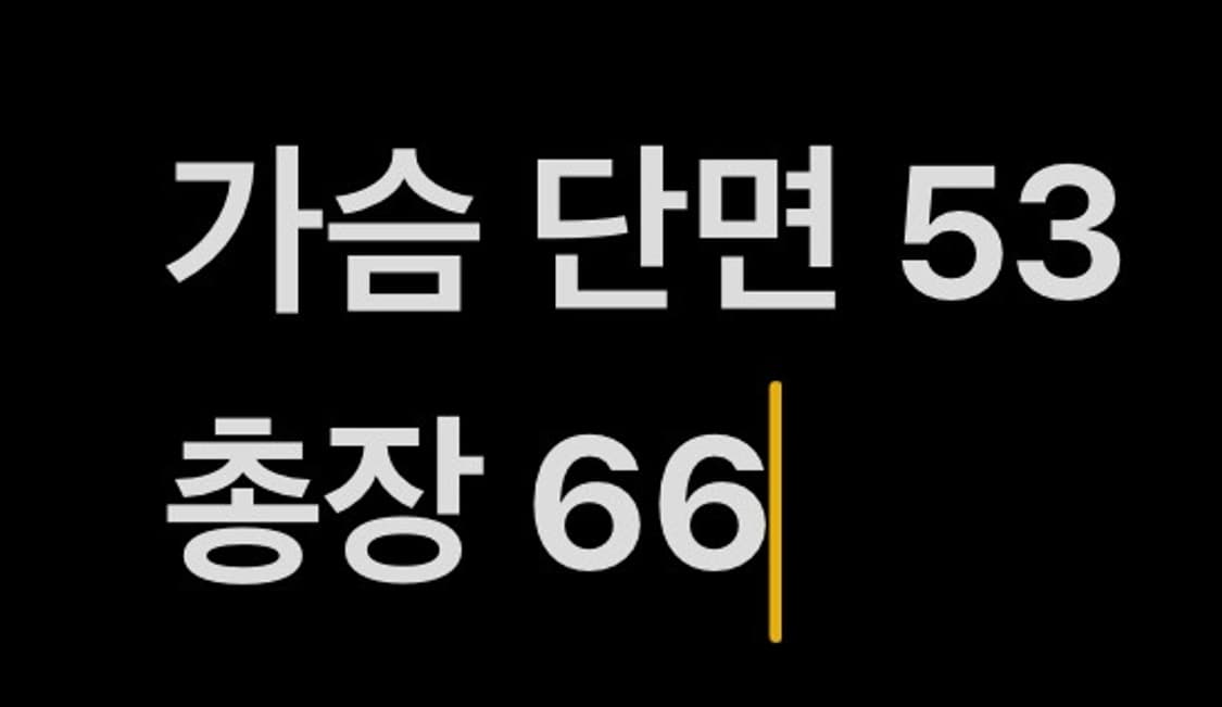 [ 정품/M ] 타이틀리스트 덕다운 패딩 b14 상품이미지8