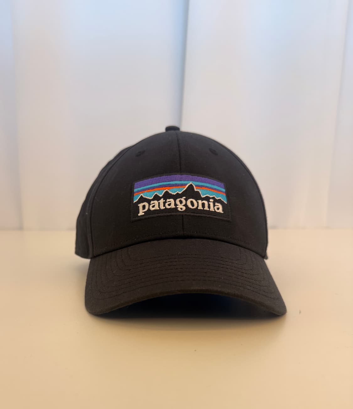  파타고니아(Patagonia)의 P-6 로고 트러커 햇 상품이미지1