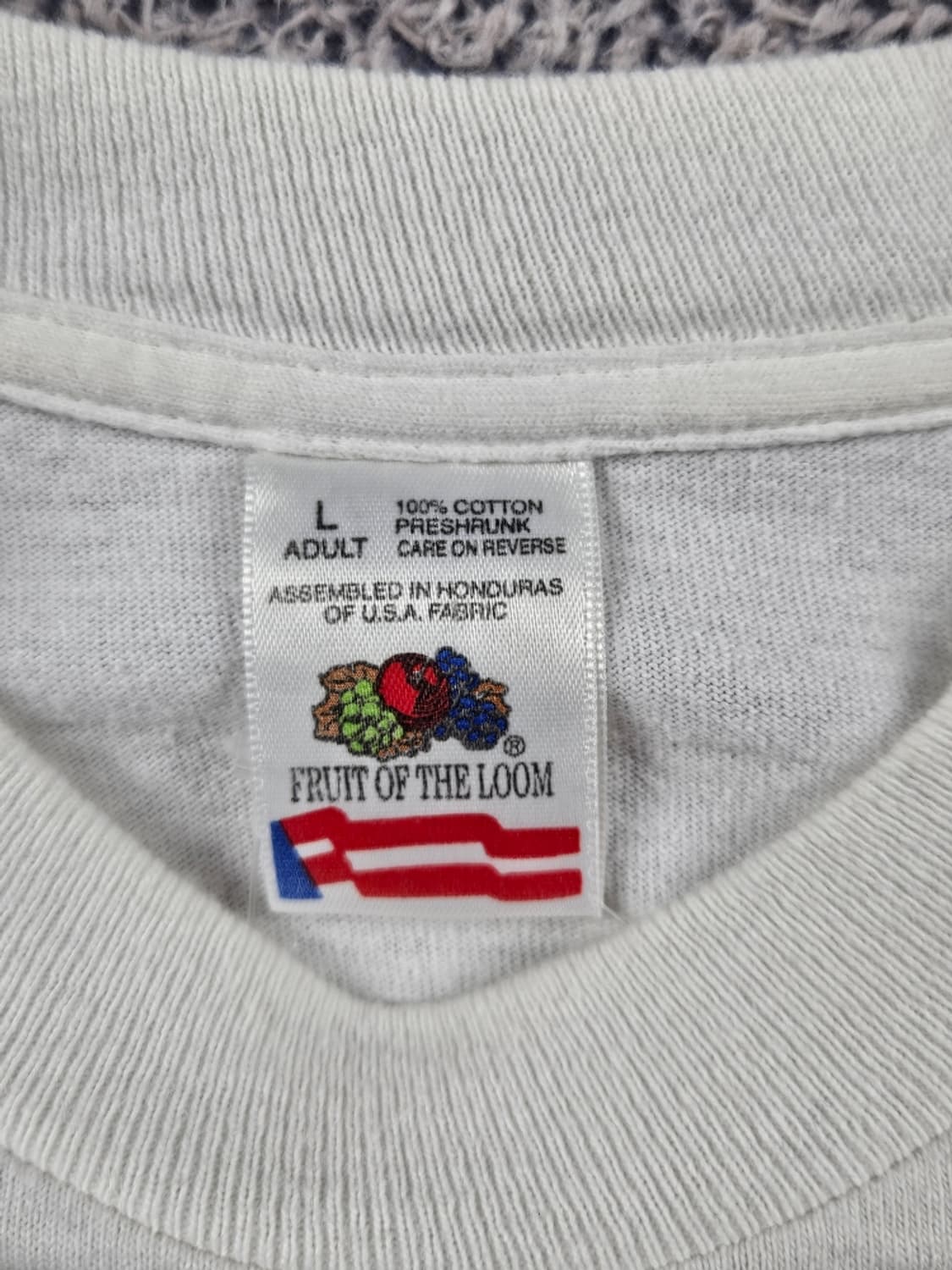 90's 프룻오브더룸 네브래스카 싱글스티치 롱슬리브 ( L )/11358 상품이미지8