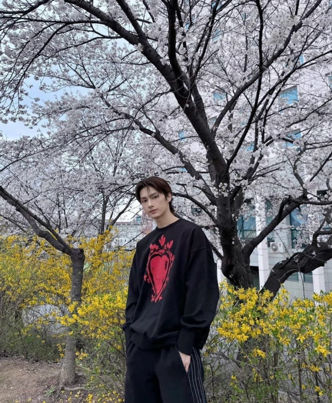 정품 L) 알렉산더 맥퀸 하트 오버핏 맨투맨  상품이미지1