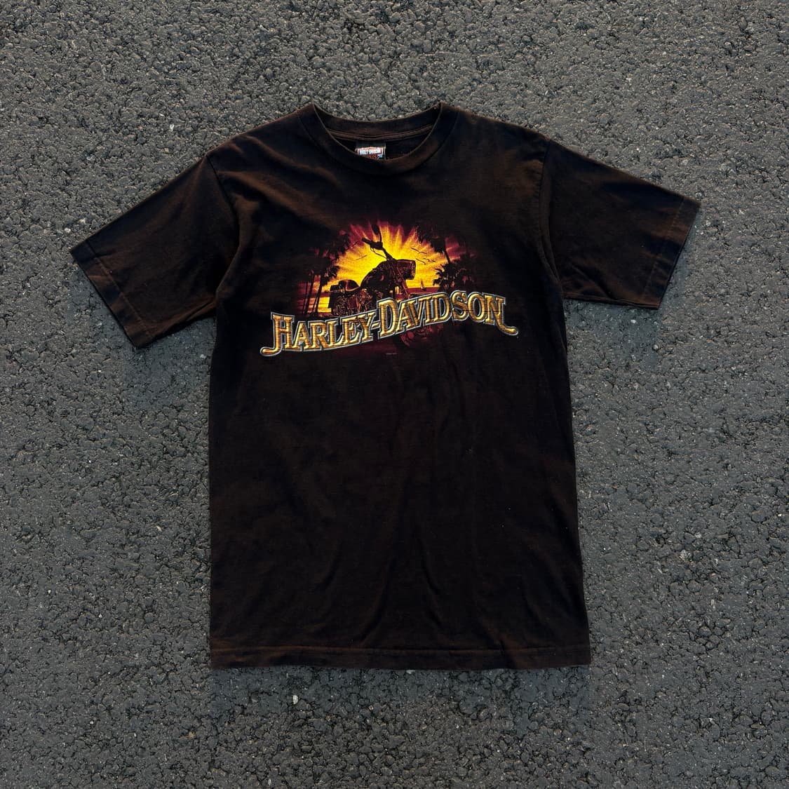 HARLEY DAVIDSON 그래픽 플레어 로고 반팔 티셔츠 상품이미지3