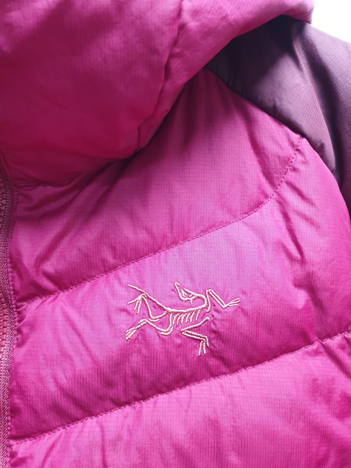 [s/55/정품] 아크테릭스 세륨ar 후디 경량패딩 상품이미지3